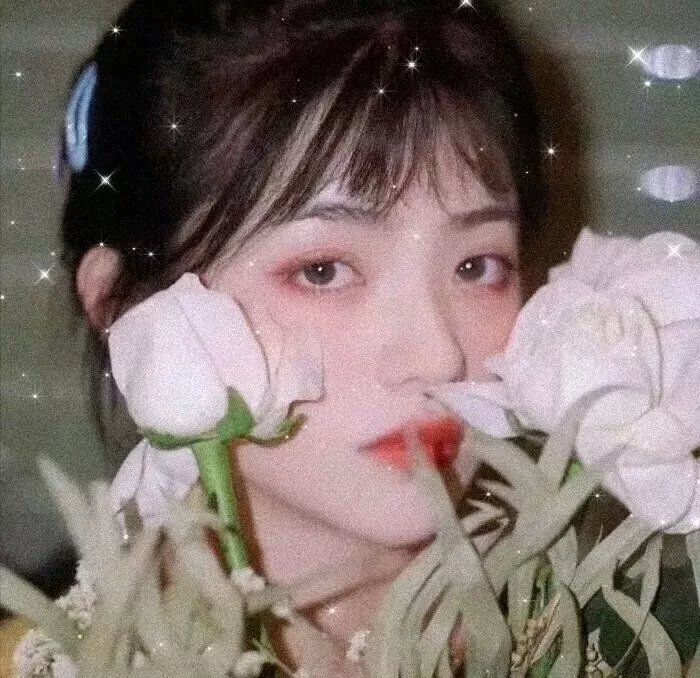 骆驼说话了