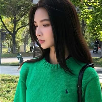 刺猬与城市
